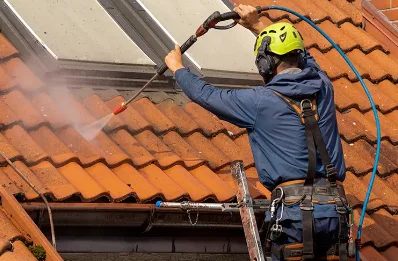 Démoussage et hydrofuge de toiture à Charix